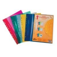 РЕГИСТР Папка-скоросшиватель с перфорацией, евро, 10шт/уп, ассорти