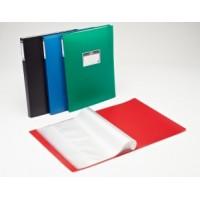 РЕГИСТР Папка с 60 прозрачными вкладышами