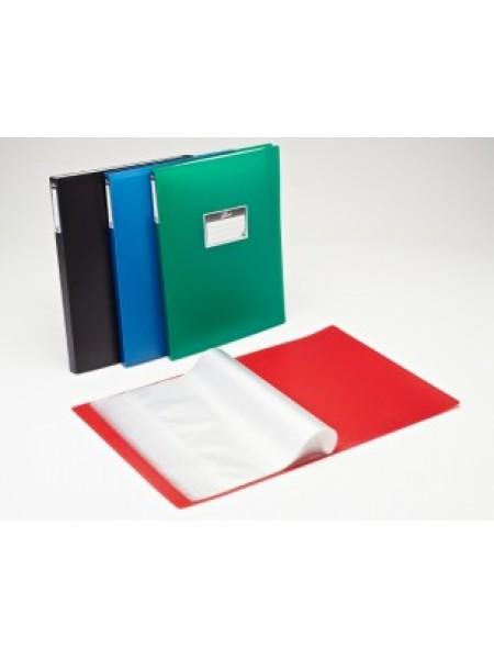 РЕГИСТР Папка с 60 прозрачными вкладышами РЕГИСТР Папка с 60 прозрачными вкладышами