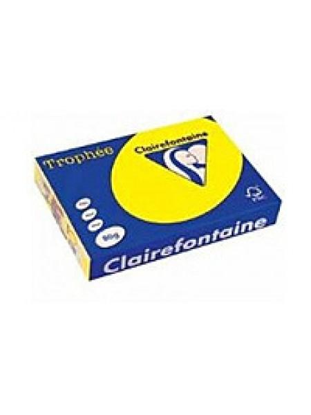 Бумага цветная "Trophée",  80 г/м , ф.А4, 500л, неоновые тона Бумага цветная "Trophée",  80 г/м , ф.А4, 500л, неоновые тона