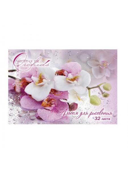 ТетраПром Альбом для рисования А4 "Орхидеи", 32 л., скоба ТетраПром Альбом для рисования А4 "Орхидеи", 32 л., скоба