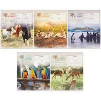 ArtSpace Тетрадь А5, 18 л. на скобе, клетка "Животные. Wild world card", ВД-лак