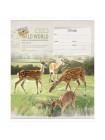 ArtSpace Тетрадь А5, 18 л. на скобе, клетка "Животные. Wild world card", ВД-лак