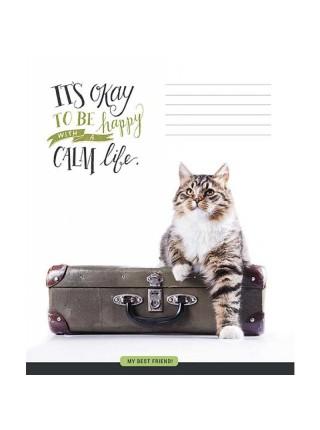 Школярик Тетрадь А5, 18 л. на скобе "My best Friend", клетка