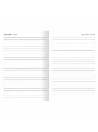 InFolio Ежедневник недатированный А5 "Beard"