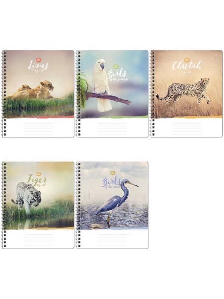 ArtSpace Тетрадь А5, 96 листов, клетка, на гребне "Животные. Wild animal"