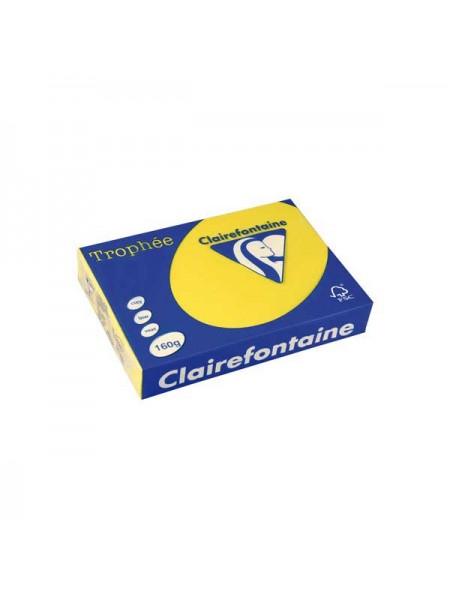 Бумага цветная "Trophée", 160 г/м , ф.А3, 250л, интенсивные тона Бумага цветная "Trophée", 160 г/м , ф.А3, 250л, интенсивные тона