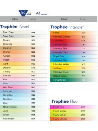 Бумага цветная "Trophée",  80 г/м , ф.А4, 500л, пастельные тона Бумага цветная "Trophée",  80 г/м , ф.А4, 500л, пастельные тона