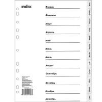 INDEX Разделители пластиковые, январь-декабрь, ф.А4, цвет серый