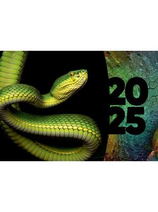 Календарь на 2025 год настенный трехблочный "Змея" Календарь на 2025 год настенный трехблочный "Змея"