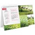 Календари домики